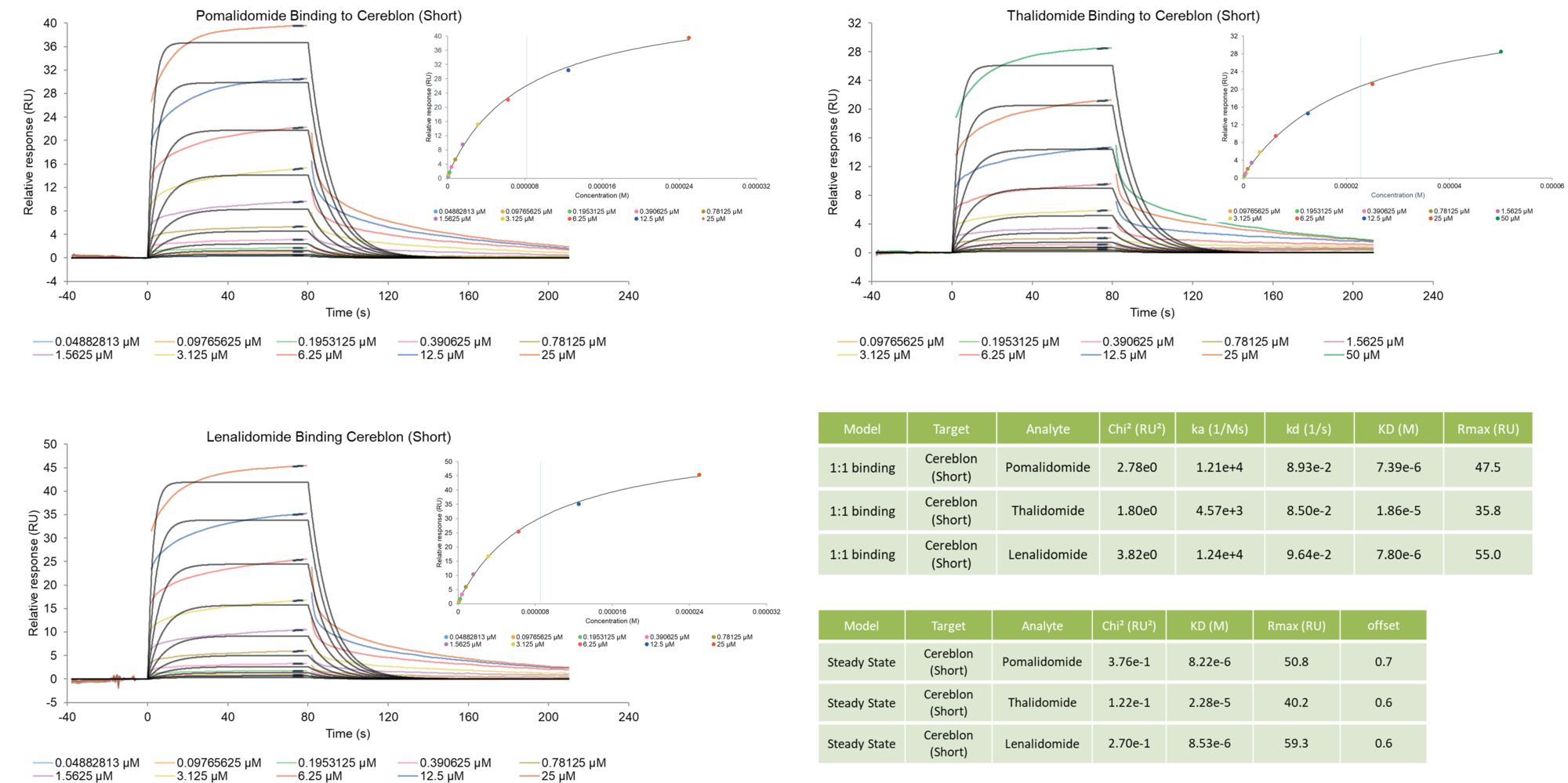 Cereblon CULT Domain SPR Assay Service | Reaction Biology